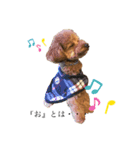 MICK＆PEARL（個別スタンプ：1）