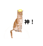 おてんばふくくん（個別スタンプ：13）