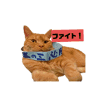 おてんばふくくん（個別スタンプ：21）