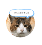 mike-20200625（個別スタンプ：1）