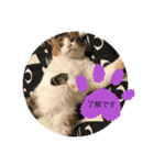 mike-20200625（個別スタンプ：2）