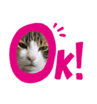 mike-20200625（個別スタンプ：3）