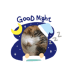 mike-20200625（個別スタンプ：6）