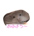 おもちのもっちもっちスタンプ2（個別スタンプ：1）