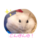 おもちのもっちもっちスタンプ2（個別スタンプ：2）