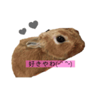 ピピの日常²（個別スタンプ：4）