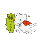 ネコのチャンさん（個別スタンプ：16）