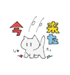 ネコのチャンさん（個別スタンプ：17）