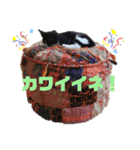 ハチワレ子猫の与太郎です。よろしく！（個別スタンプ：13）