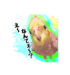 おかめのぽっちゃん（個別スタンプ：8）