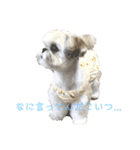 めるちゃん図鑑（個別スタンプ：2）