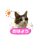 ルナルナ日和1（個別スタンプ：1）