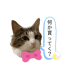 ルナルナ日和1（個別スタンプ：13）