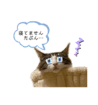 ルナルナ日和1（個別スタンプ：14）
