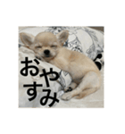 小春と申します。（個別スタンプ：6）