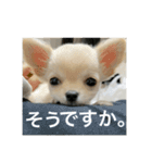 小春と申します。（個別スタンプ：13）