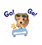 watashinostampdayo（個別スタンプ：7）