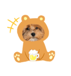 watashinostampdayo（個別スタンプ：8）