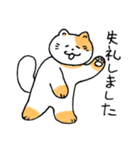 めでたいねこ（個別スタンプ：20）