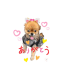 はーとっ子❤️（個別スタンプ：1）