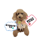 はーとっ子❤️（個別スタンプ：4）