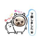 はーとっ子❤️（個別スタンプ：6）