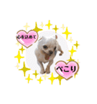はーとっ子❤️（個別スタンプ：15）