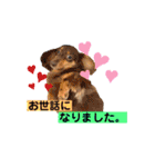 はーとっ子❤️（個別スタンプ：17）