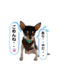 はーとっ子❤️（個別スタンプ：21）