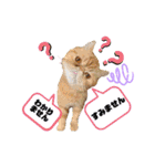 はーとっ子❤️（個別スタンプ：22）
