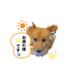 はーとっ子❤️（個別スタンプ：26）