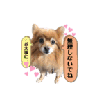 はーとっ子❤️（個別スタンプ：27）