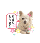 はーとっ子❤️（個別スタンプ：28）