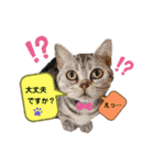 はーとっ子❤️（個別スタンプ：29）