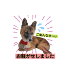 はーとっ子❤️（個別スタンプ：31）