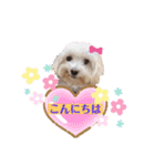 はーとっ子❤️（個別スタンプ：38）