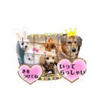 はーとっ子❤️（個別スタンプ：40）