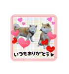 おぐりちゃんのスタンプ（個別スタンプ：2）