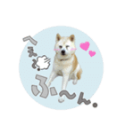 おぐりちゃんのスタンプ（個別スタンプ：7）