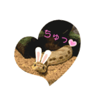 リリの蛇達❤（個別スタンプ：2）