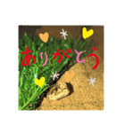 リリの蛇達❤（個別スタンプ：3）