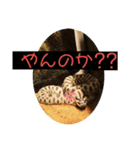 リリの蛇達❤（個別スタンプ：7）
