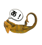 カメ＆レオン（個別スタンプ：16）