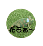 カメ＆レオン（個別スタンプ：17）