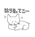 はなたれねこ（個別スタンプ：3）