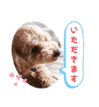 ポコすたんぷ#07（個別スタンプ：2）