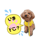 ポコすたんぷ#07（個別スタンプ：3）