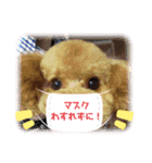 ポコすたんぷ#07（個別スタンプ：7）