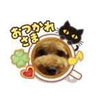 ポコすたんぷ#07（個別スタンプ：10）