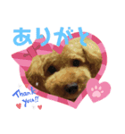 ポコすたんぷ#07（個別スタンプ：14）